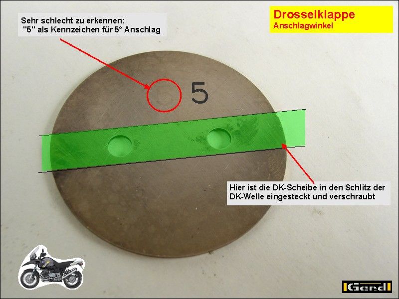 DK_Ans02t