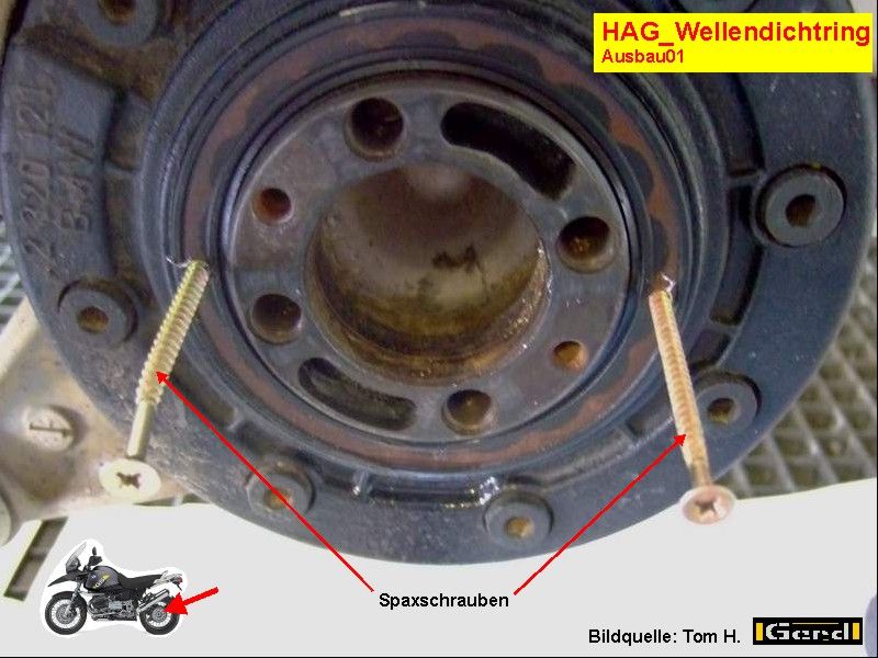 HAG_WeDi01t