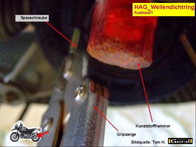 HAG_WeDi02t