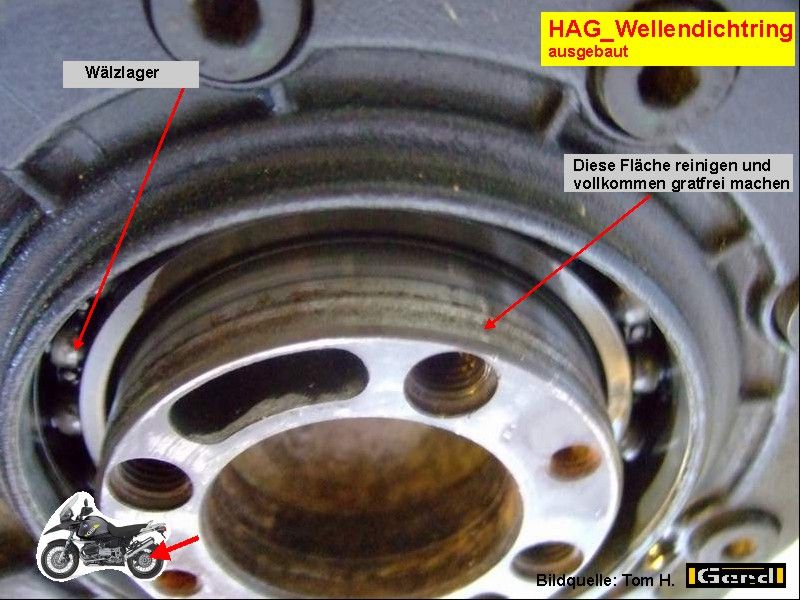 HAG_WeDi03t
