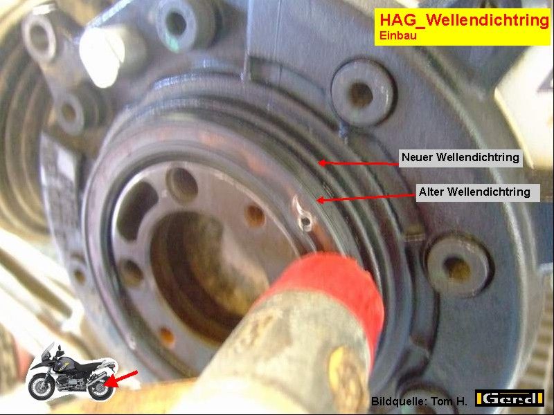 HAG_WeDi05t