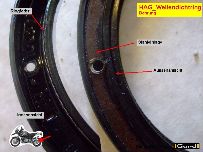 HAG_WeDi09t