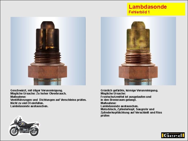 L-Son10